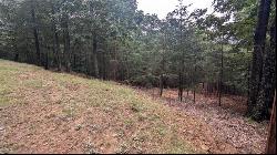 56 Oglethorpe Mountain Trail, Jasper GA 30143