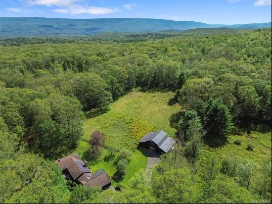 119 Mt Laurel Road, Kerhonkson NY 12446