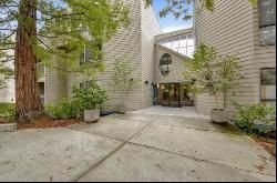 55 W 20th Avenue #213, San Mateo CA 94403