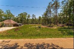 14360 Lake Tahoe Drive, Covington LA 70433