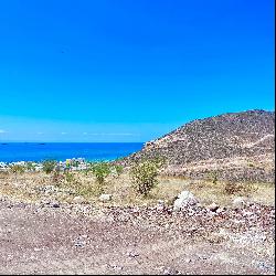 Bahia de La Ventana St., Centro 