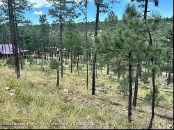 Lot 68 El Camino Drive, Alto NM 88312