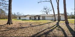 1305 S Holly Street, Hammond LA 70401