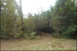 Tract 2 Grey Land Road, Greensboro GA 30642