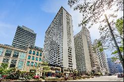 535 N Michigan Avenue #1610, Chicago IL 60611