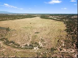 379 S BUG POINT SPUR, Monticello UT 84535