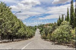 2748 sqm plot for sale in Ciudalcampo, Ciudalcampo 28707