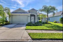 12923 Rainwashed Loop, Parrish FL 34219