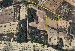 Rustic plot with project for a house with pool for sale in Montu, Montuiri 07230