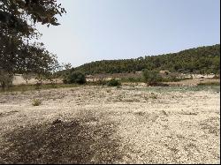 Rustic plot with project for a house with pool for sale in Montu, Montuiri 07230