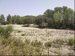 Rustic plot with project for a house with pool for sale in Montu, Montuïri 07230