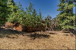 25857 Ridge Drive, Pioneer, CA 95666