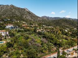 Unique investment opportunity - South-facing plot with sea views, Marbella 29602