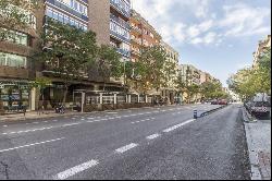 Exclusive property in recoletos, Madrid 28004