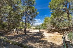 A unique and magnificent equestrian Villa next to La Sella Golf , Dénia 03700