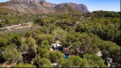 A unique and magnificent equestrian Villa next to La Sella Golf , Dénia 03700