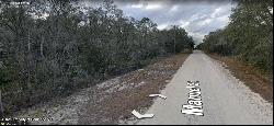 N Manuel Street, Ridge Manor FL 33523