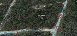 N Manuel Street, Ridge Manor FL 33523