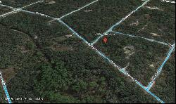 N Manuel Street, Ridge Manor FL 33523