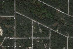 N Manuel Street, Ridge Manor FL 33523