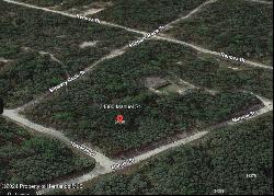 N Manuel Street, Ridge Manor FL 33523