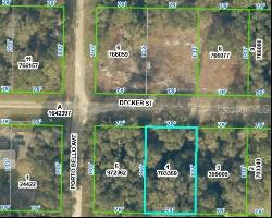 0 Decker Street #4, Webster FL 33597