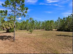 32801 Hwy 441 N., Lot 39, Okeechobee FL 34972