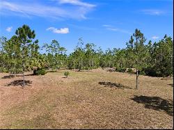 32801 Hwy 441 N., Lot 39, Okeechobee FL 34972