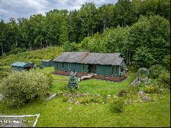 380 Valentine Pond Road, Pottersville NY 12860