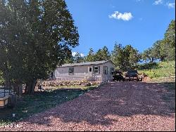 695 S Running Elk Road, Payson AZ 85541