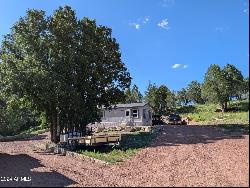 695 S Running Elk Road, Payson AZ 85541