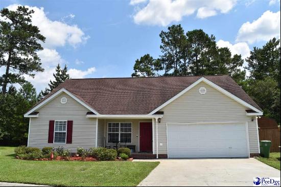 400 Shrek Way, Florence SC 29505