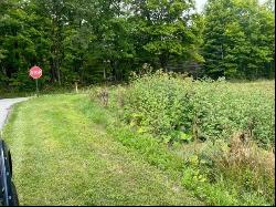 Lot 210, 211 Oak Street, Carmichaels/Cumblnd PA 15320