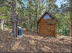 9719 Beaver Pond Rd, Conifer CO 80433