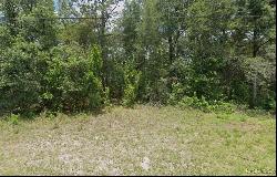 3467 E Dawson Drive, Inverness FL 34453