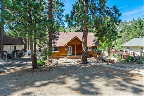 518 Mountain View Avenue, Wrightwood CA 92397