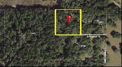 Collegedale Ln, Spring Hill FL 34610