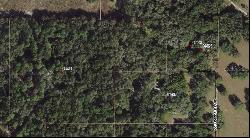 Collegedale Ln, Spring Hill FL 34610