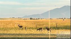 TBD East Bench Road, Roberts MT 59070