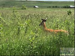 TBD East Bench Road, Roberts MT 59070