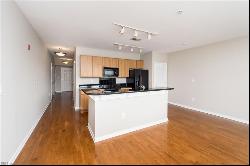 388 Boush Street Unit 214, Norfolk VA 23510