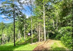 Lot 8 Gem Creek Road, Cullowhee NC 28723