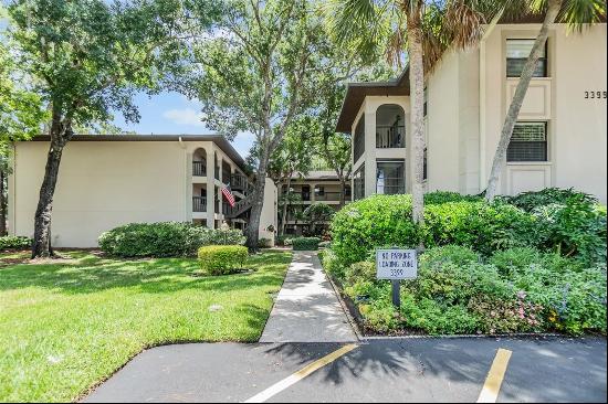 3399 Mermoor Drive #307, Palm Harbor FL 34685