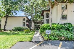 3399 Mermoor Drive #307, Palm Harbor FL 34685