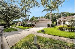 12114 Glencliff Circle, Tampa FL 33626