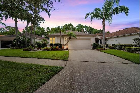 12114 Glencliff Circle, Tampa FL 33626