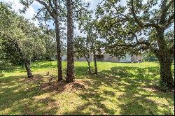 18940 Black Gum Court, Hudson FL 34667