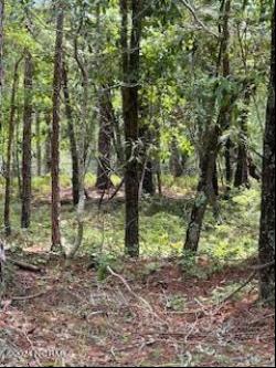 8.24 Acres Britts Cove SE, Bolivia NC 28422