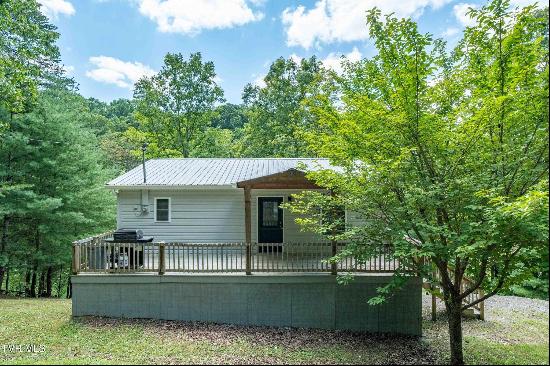 2316 Devault Bridge Road, Piney Flats TN 37686