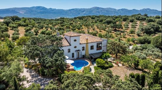 Spectacular country estate in Villanueva del Rosario, Villanueva del Rosario 29312